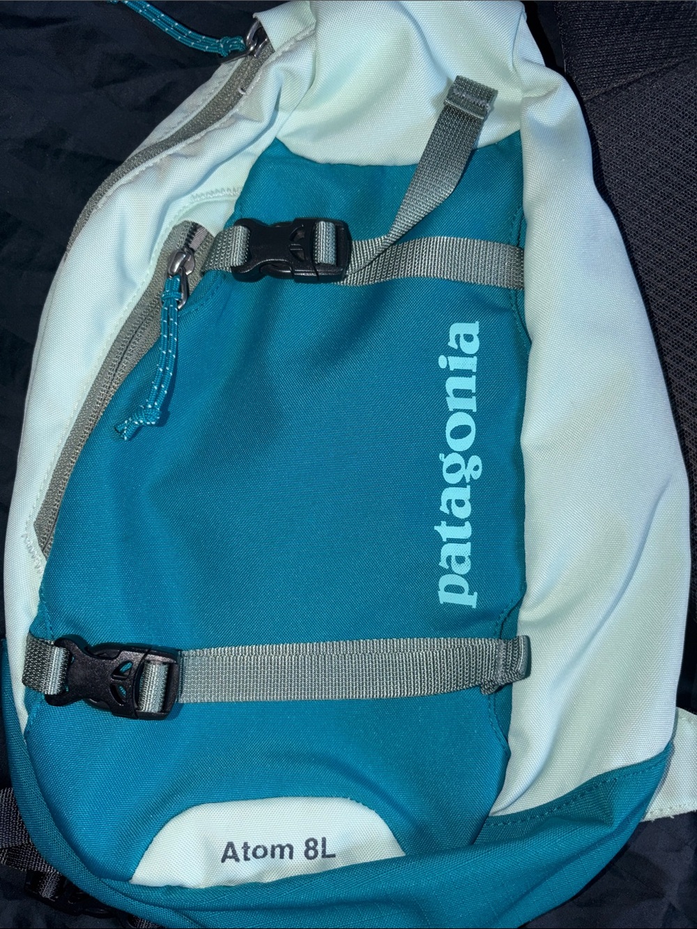 PATAGONIA ATOM 8L SLINGBAG - Picture 3 of 5